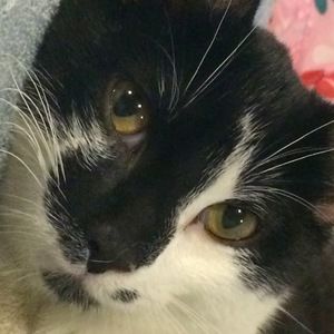 Meet your Posher, Paige